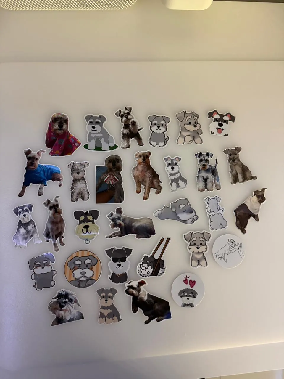 Colección de stickers ilustrados y fotográficos de perros Schnauzer